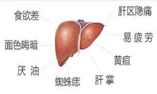 肝病教授叶诚正在河南省医药院附属医院会诊进行中,看肝病就找上海肝病专家